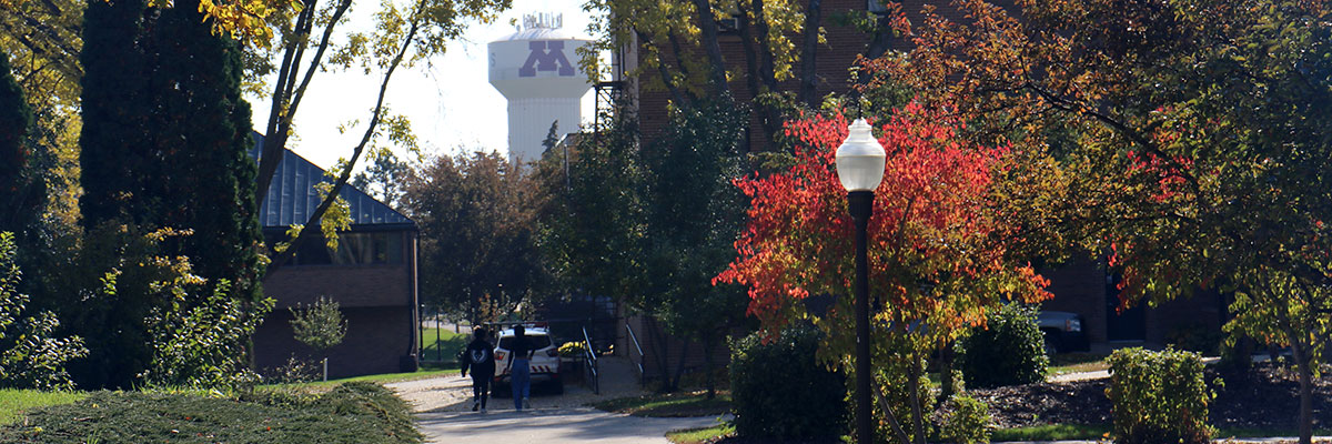 Colored leaves line a view from campus to the Morris water tower.